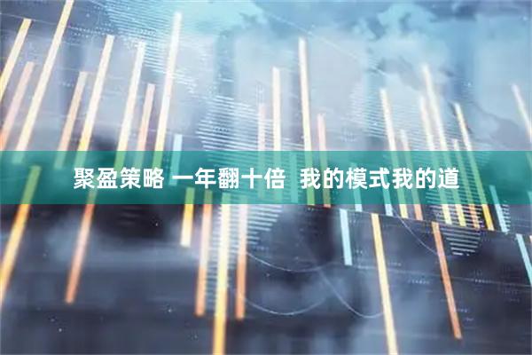 聚盈策略 一年翻十倍  我的模式我的道