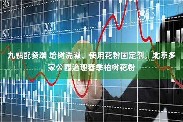 九融配资端 给树洗澡、使用花粉固定剂，北京多家公园治理春季柏树花粉