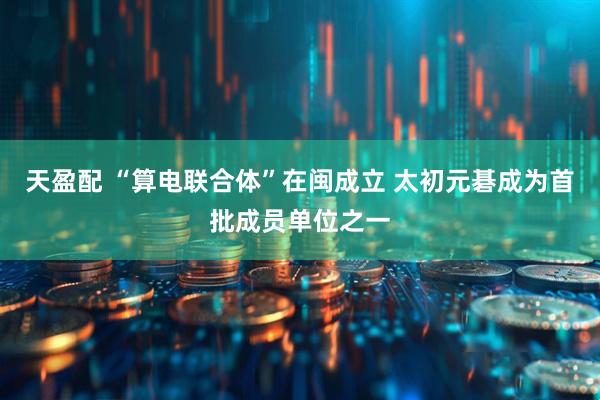 天盈配 “算电联合体”在闽成立 太初元碁成为首批成员单位之一