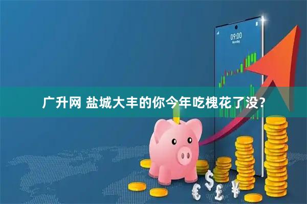 广升网 盐城大丰的你今年吃槐花了没？