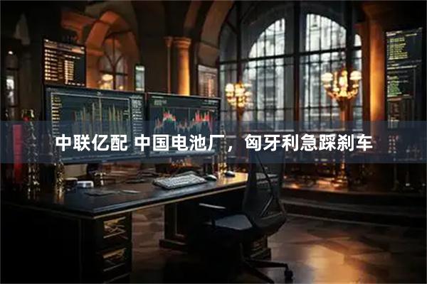 中联亿配 中国电池厂，匈牙利急踩刹车